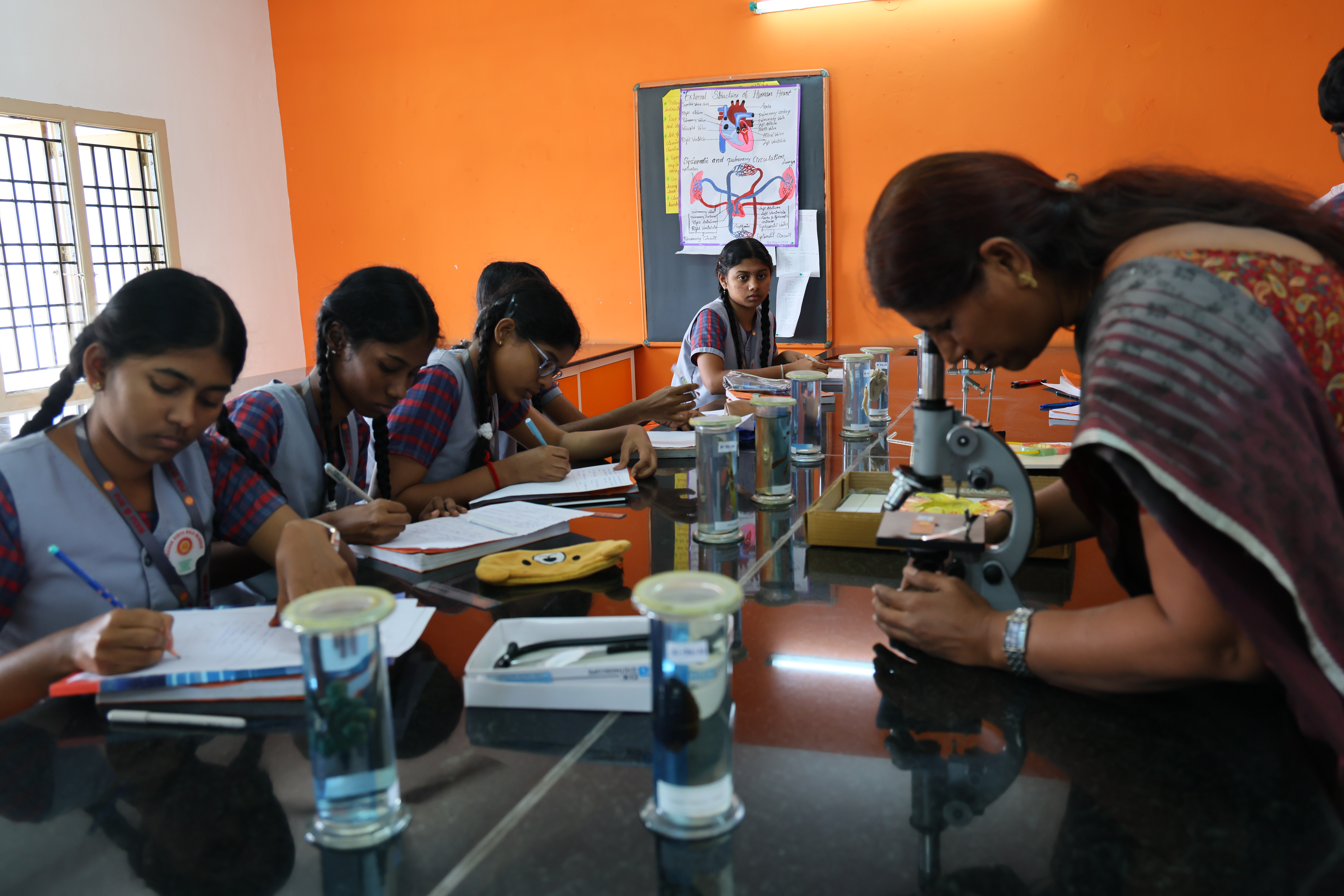 Higher Secondary Programme (Class XI – XII)